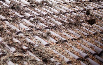 Shepherds Gate roof cleaning companies