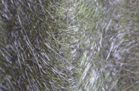 Shepherds Gate fibreglass roof work